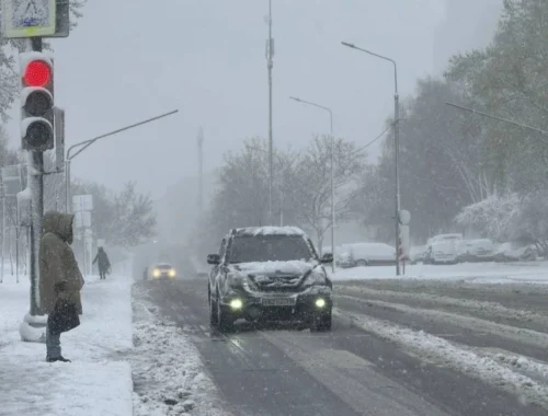 30 человек пострадали в Москве и области из-за падения 110 деревьев в снегопад