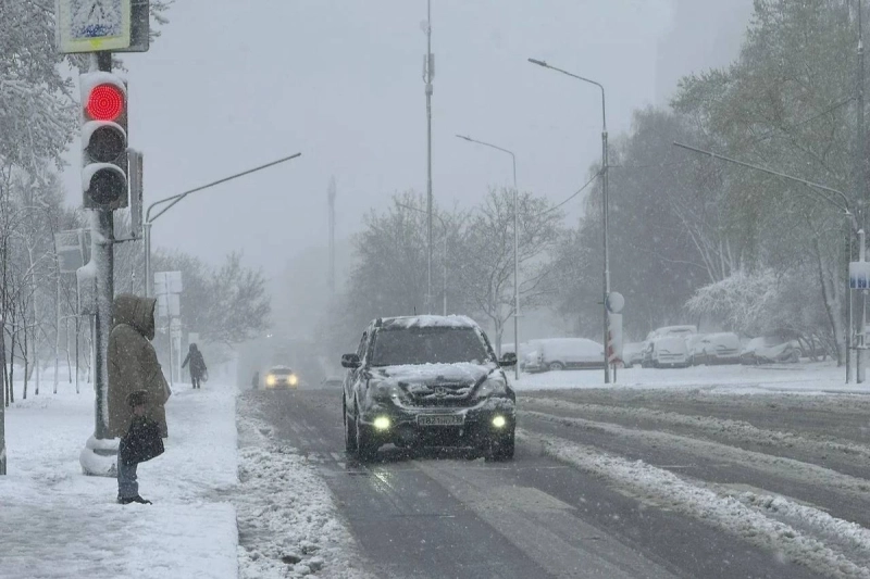 30 человек пострадали в Москве и области из-за падения 110 деревьев в снегопад