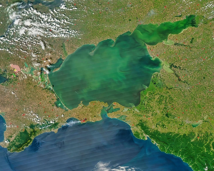 Азовское море превращается в склад химии: ученые бьют тревогу из-за пестицидов