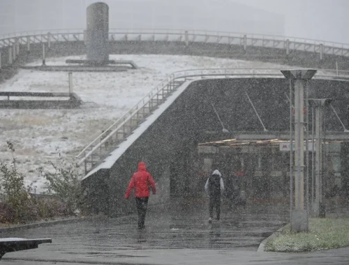 МЧС предупредило москвичей о мокром снеге и ветре до 15 м/с