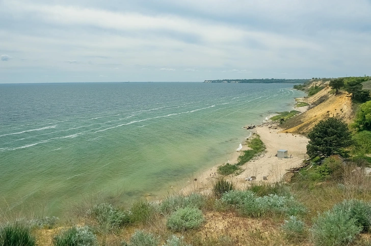 Такого не было 30 лет: ученые помогут рыбам Дона нереститься