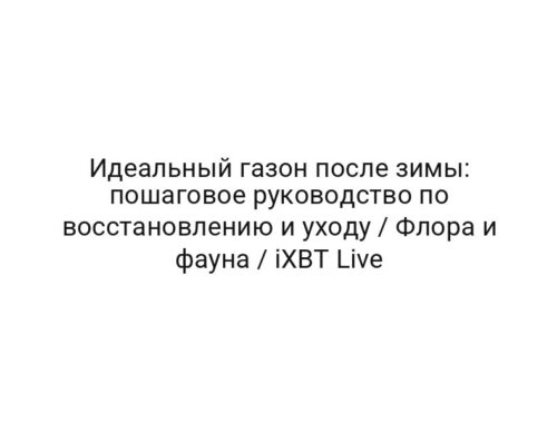 Идеальный газон после зимы: пошаговое руководство по восстановлению и уходу / Флора и фауна / iXBT Live