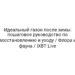 Идеальный газон после зимы: пошаговое руководство по восстановлению и уходу / Флора и фауна / iXBT Live