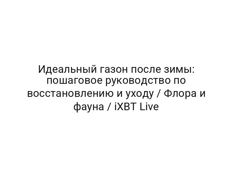 Идеальный газон после зимы: пошаговое руководство по восстановлению и уходу / Флора и фауна / iXBT Live