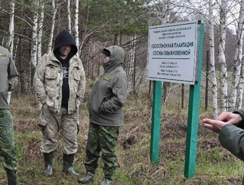 Делегатам Подмосковья показали уникальные плантации леса в Липецкой области