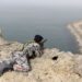 Эсминцы ВМС США подверглись атаке Ирана в Ормузском проливе