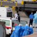 Роспотребнадзор успокоил россиян после смертей на круизном лайнере: выявленный хантавирус не передается от человека к человеку