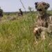 СМИ: украинские пограничники гибнут на собственных минах в Черниговской области
