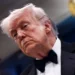 The Spectator: Трамп занял более жёсткую позицию к ЕС после беседы с Путиным