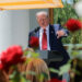 Трамп заявил о перемирии России и Украины 9–11 мая: что ответили Москва и Киев