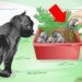 Как уберечь комнатные растения от кошки — wikiHow
