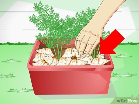 Step 2 Используйте раковины.