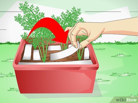 Step 5 Попробуйте использовать двустороннюю клейкую ленту.