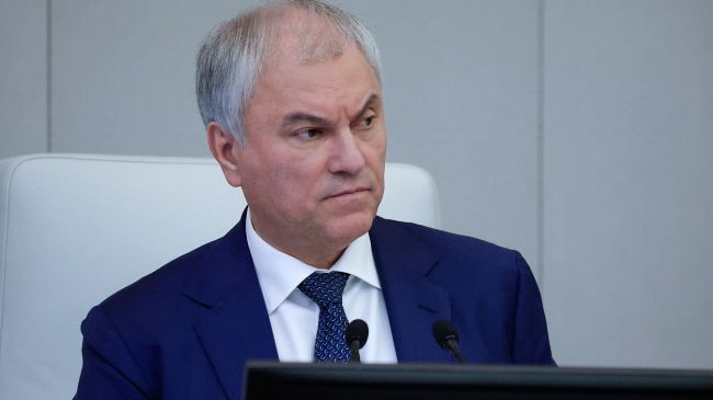 Володин указал на виновного в снижении рождаемости