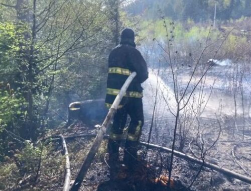 В зоне отчуждения Чернобыльской АЭС спасатели тушат масштабный лесной пожар В зоне отчуждения Чернобыльской АЭС спасатели тушат масштабный лесной пожар