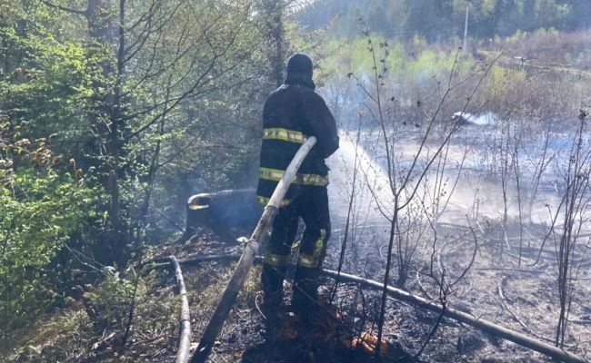 В зоне отчуждения Чернобыльской АЭС спасатели тушат масштабный лесной пожар